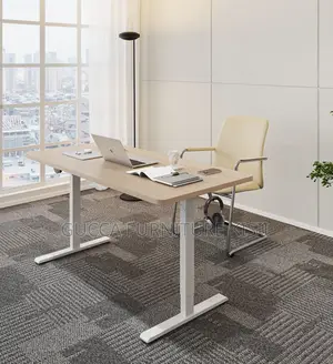 Beech 120cm Single Motor Sit/Stand Desk