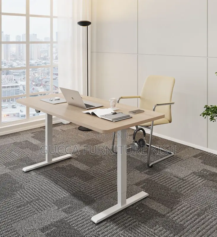 Beech 120cm Single Motor Sit/Stand Desk