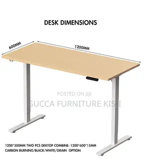 Beech 120cm Single Motor Sit/Stand Desk