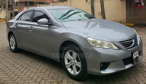 Toyota Mark X 2011 Silver