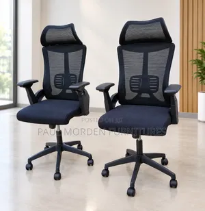 Orthopedic Office With Headrest and Decent Backrest
