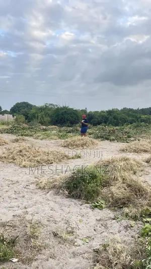 Plots for Sale Gede Mijomboni