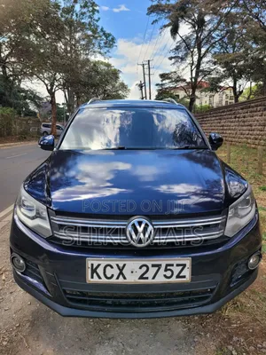 Volkswagen Tiguan 2013 Blue