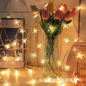 10M Christmas Lights
