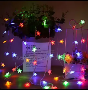 10M Christmas Lights