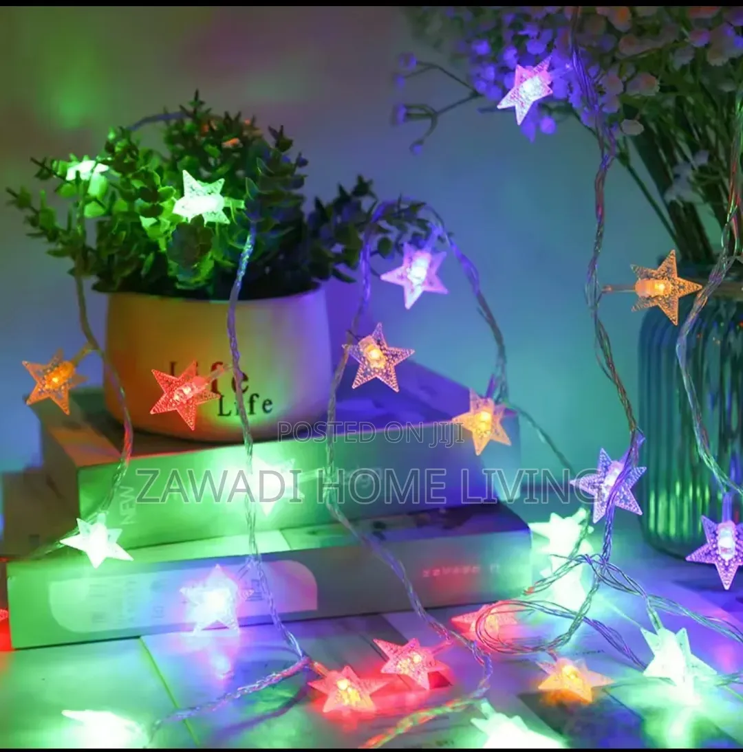 10M Christmas Lights