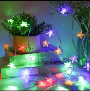 10M Christmas Lights