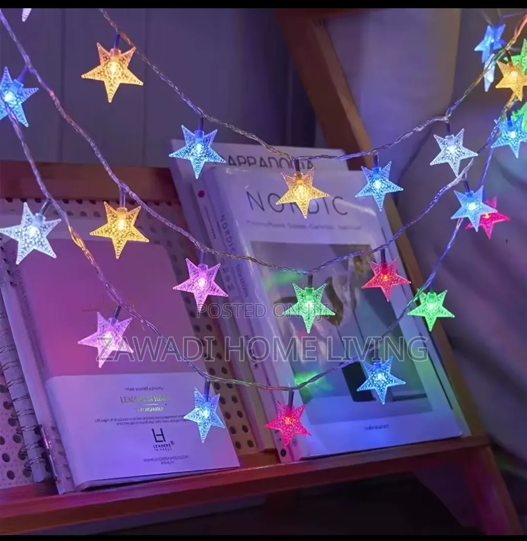 10M Christmas Lights