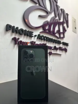 Apple iPhone 13 Pro 256 GB Gray