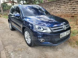 Volkswagen Tiguan 2013