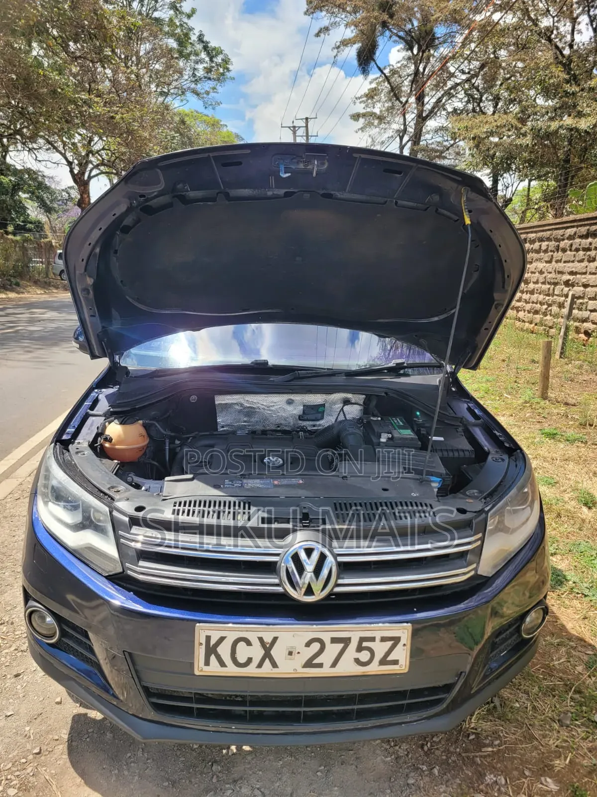 Volkswagen Tiguan 2013