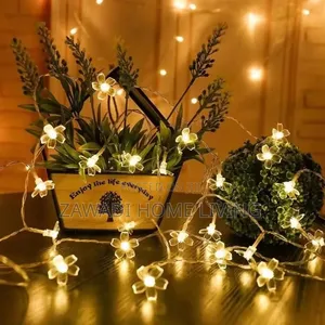 10M Flower Shaped Christmas Lights With Remote