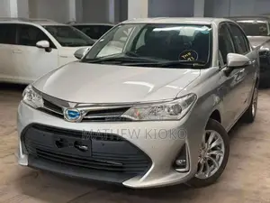 Toyota Axio 2019 Gray