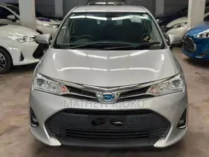 Toyota Axio 2019 Gray