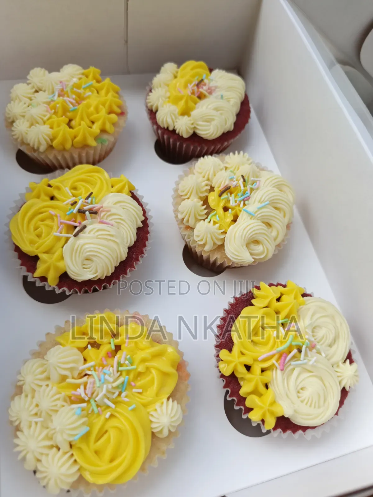 Cupcakes (Frosted)