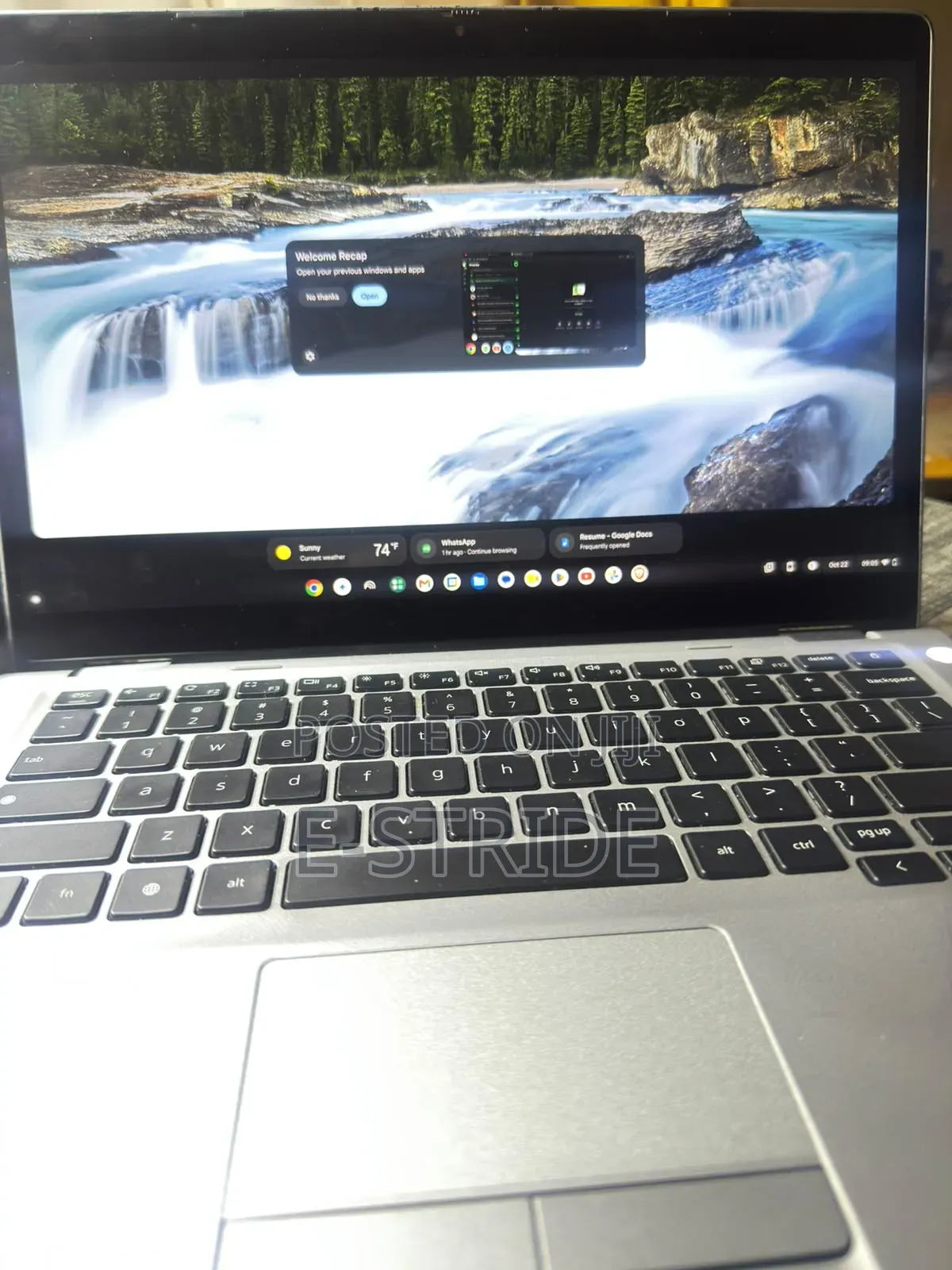 Laptop Dell Latitude 5300 4GB Intel Celeron SSD 256GB