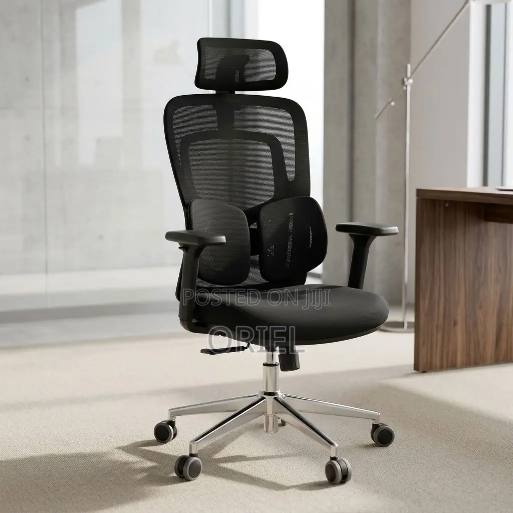 Office Chair : Lumbar Computer Chair