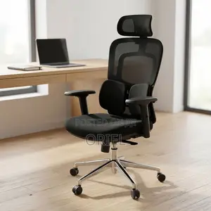 Office Chair : Lumbar Computer Chair