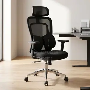 Office Chair : Lumbar Computer Chair