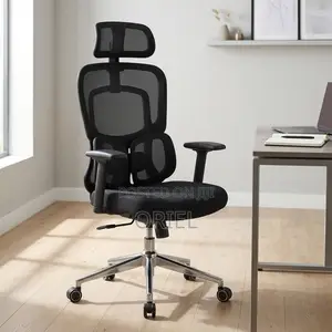 Office Chair : Lumbar Computer Chair