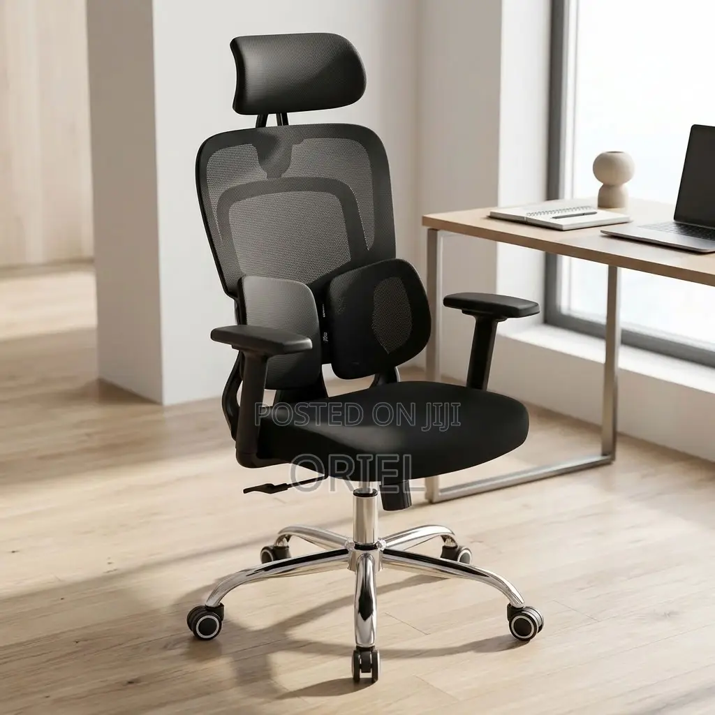 Office Chair : Lumbar Computer Chair