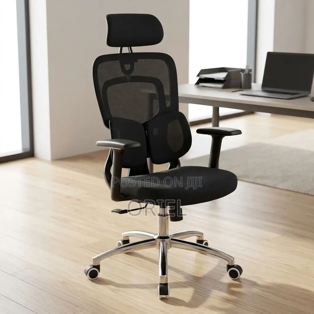 Office Chair : Lumbar Computer Chair