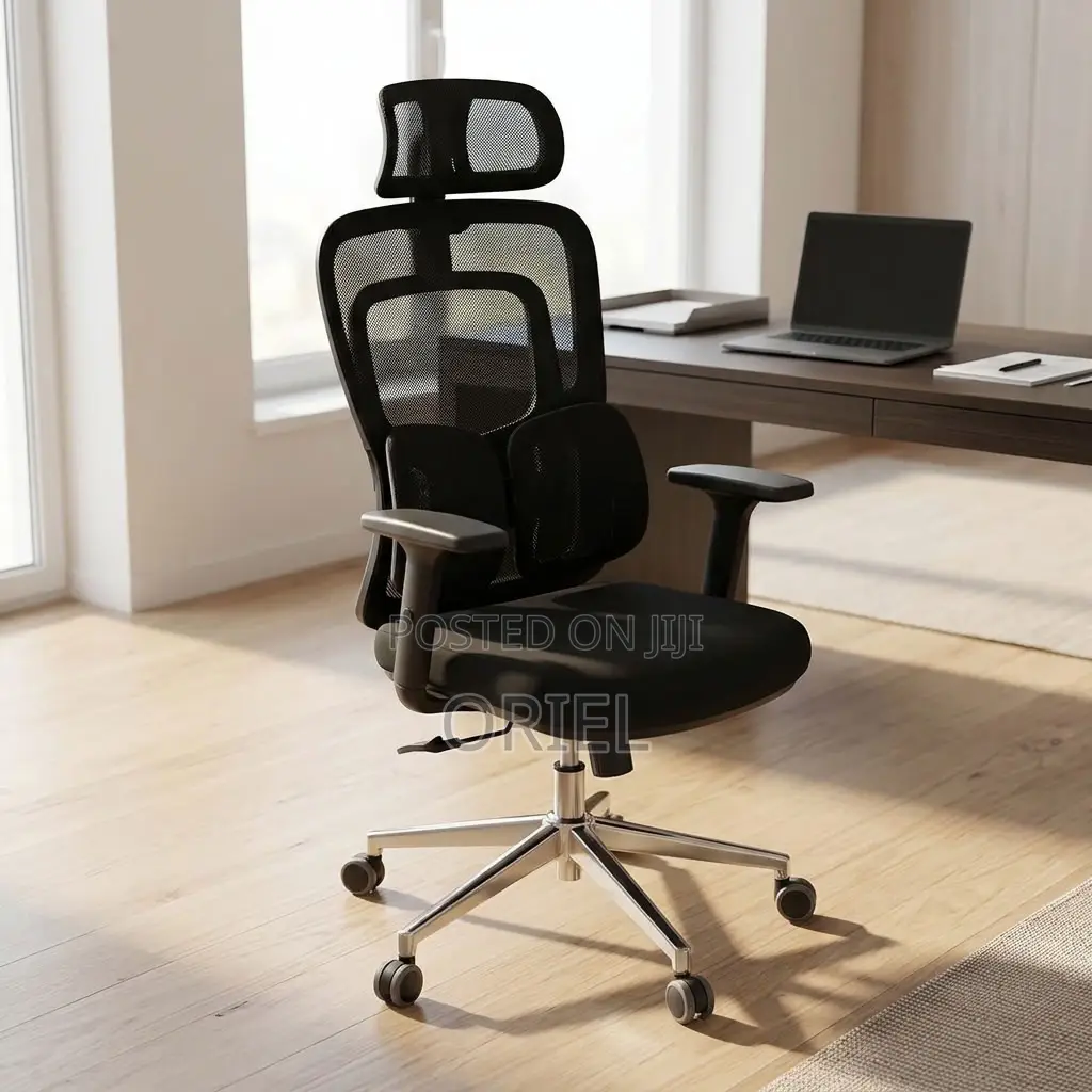 Office Chair : Lumbar Computer Chair