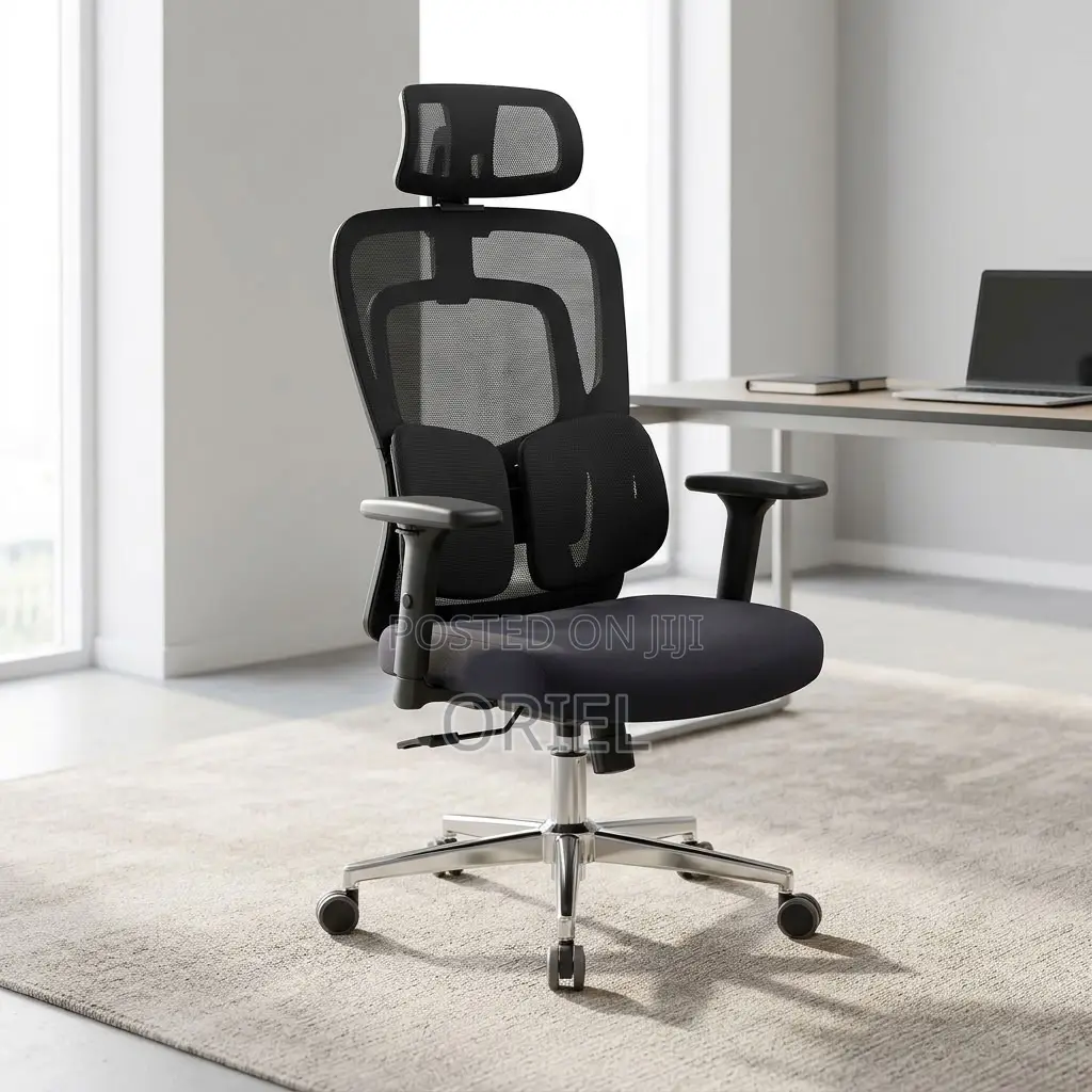 Office Chair : Lumbar Computer Chair