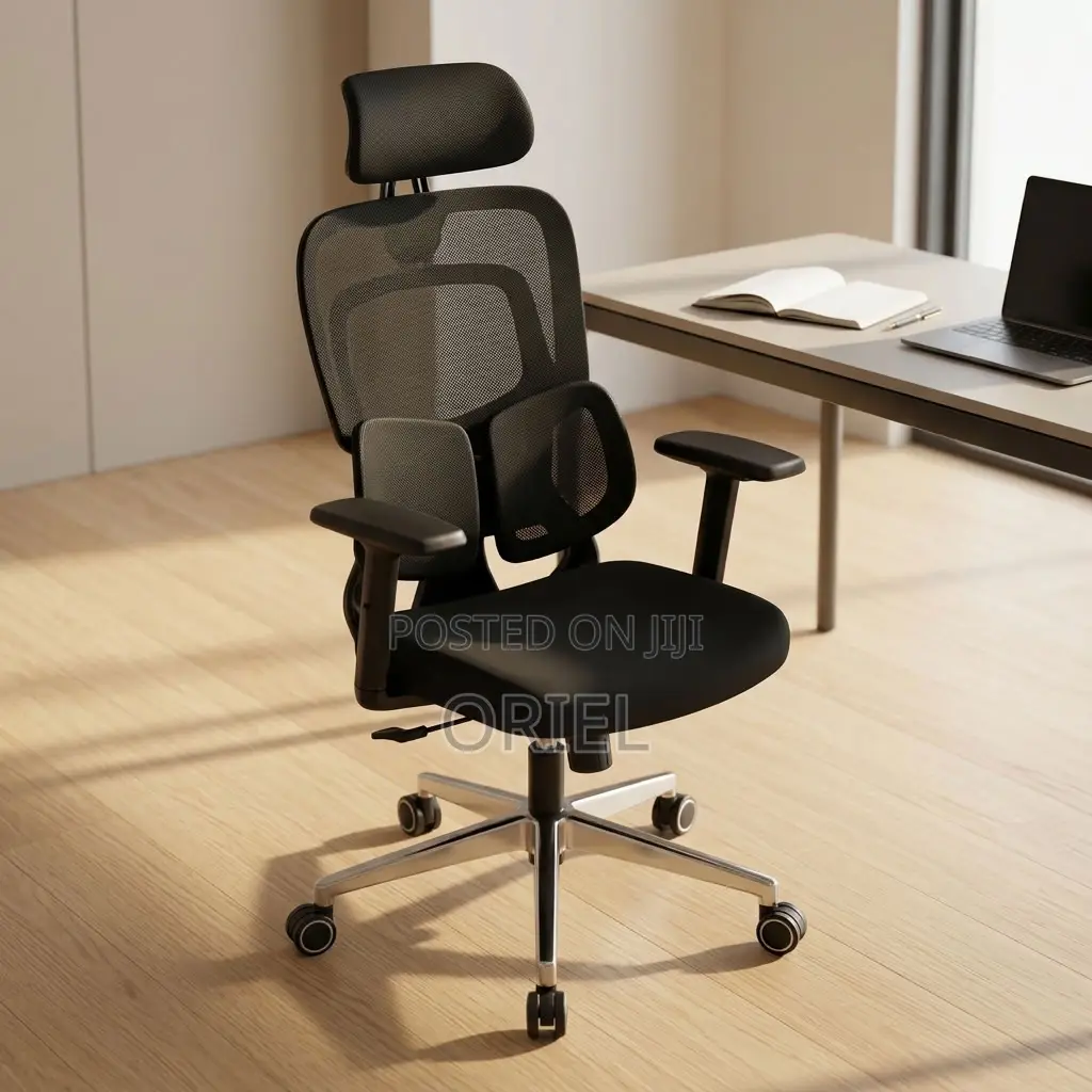 Office Chair : Lumbar Computer Chair