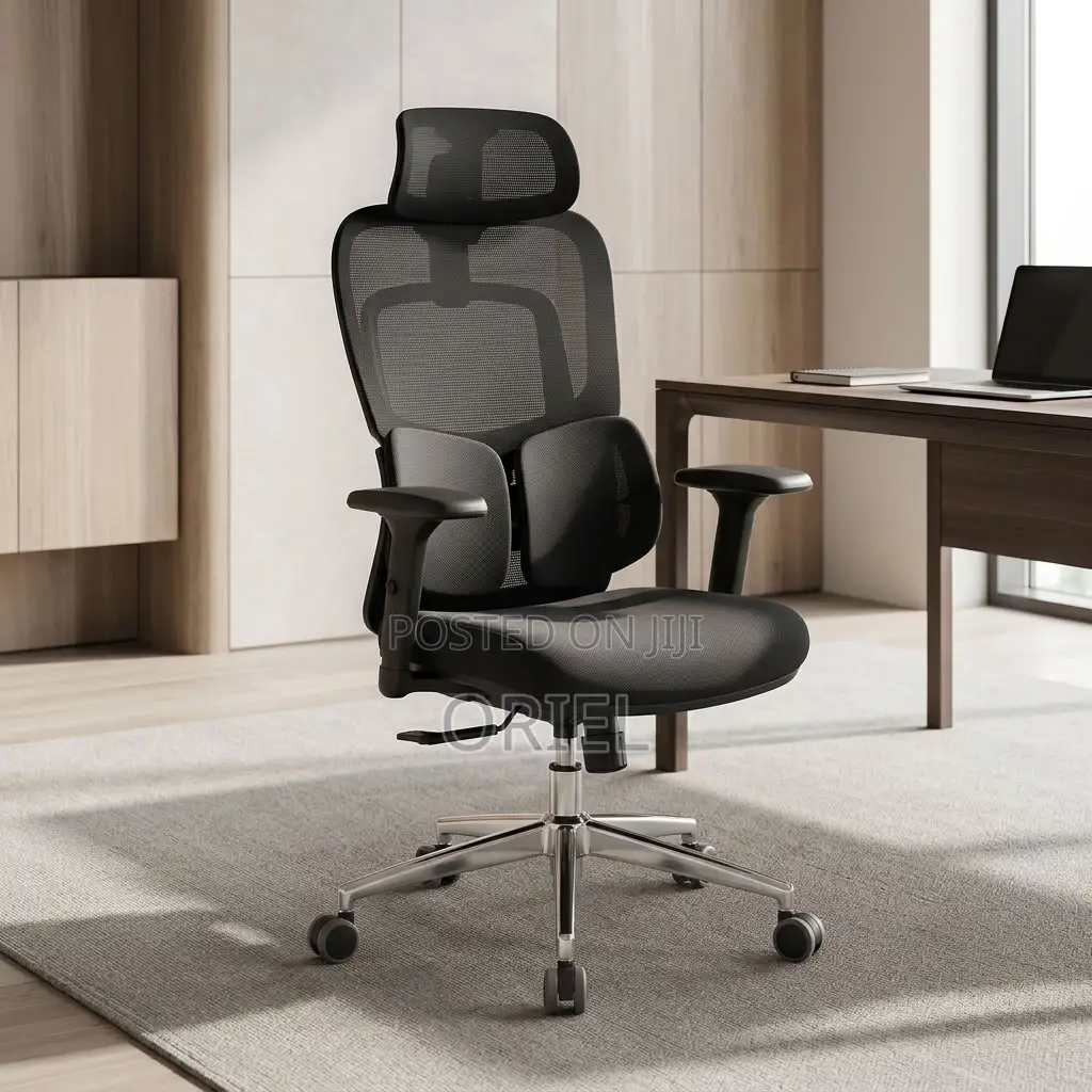 Office Chair : Lumbar Computer Chair