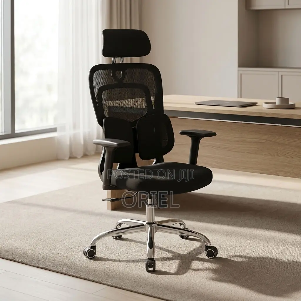 Office Chair : Lumbar Computer Chair