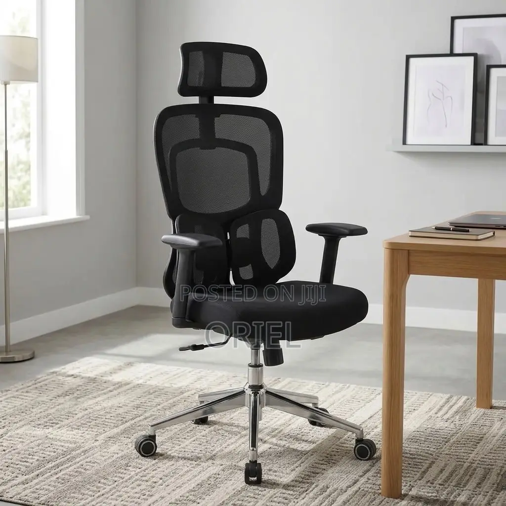 Office Chair : Lumbar Computer Chair
