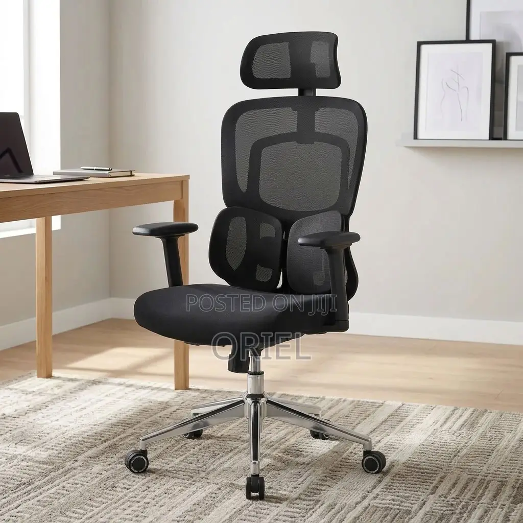 Office Chair : Lumbar Computer Chair