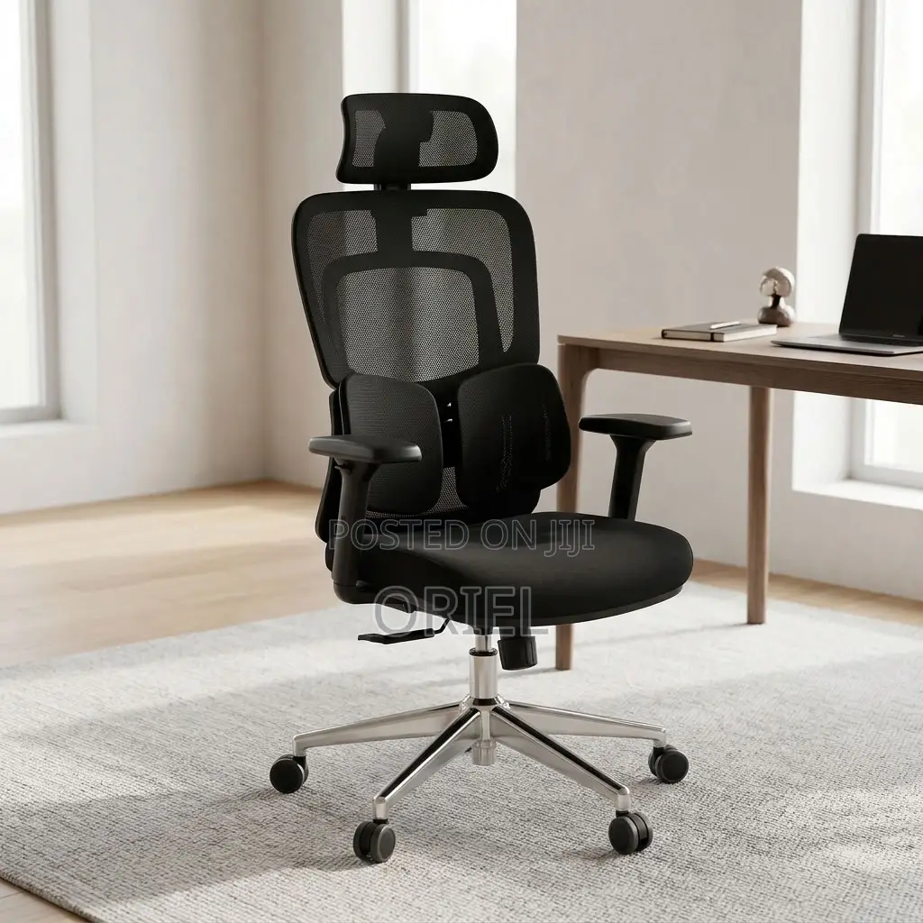 Office Chair : Lumbar Computer Chair