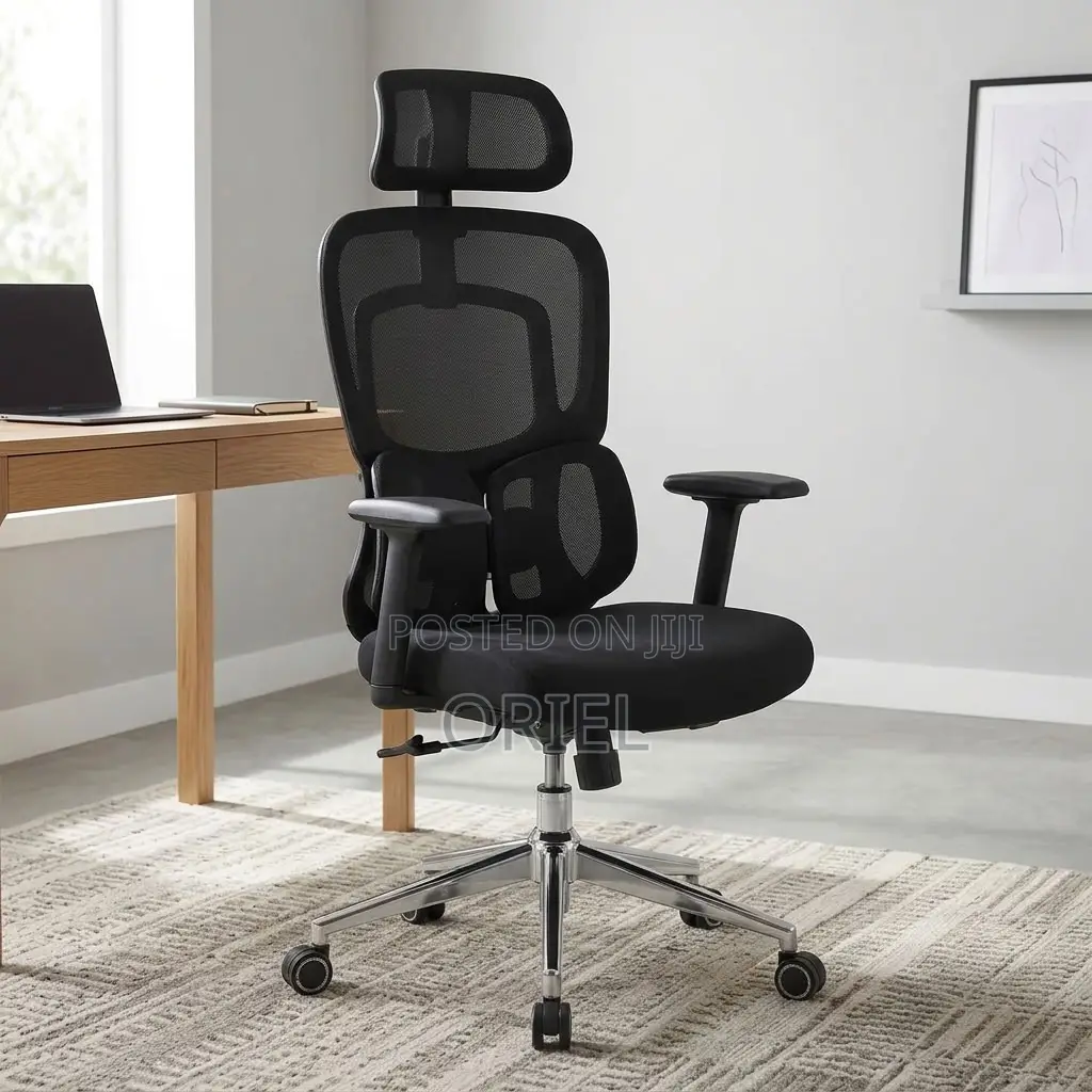 Office Chair : Lumbar Computer Chair