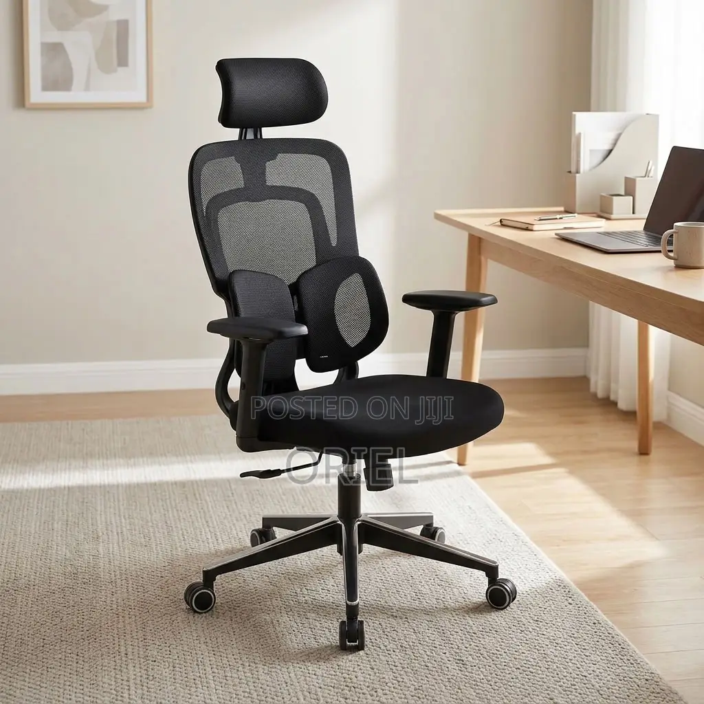 Office Chair : Lumbar Computer Chair