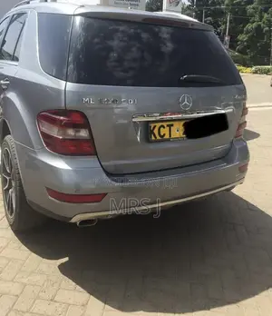 Mercedes-Benz M Class 2011 Silver
