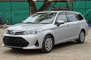 Toyota Corolla Fielder 2019 Silver