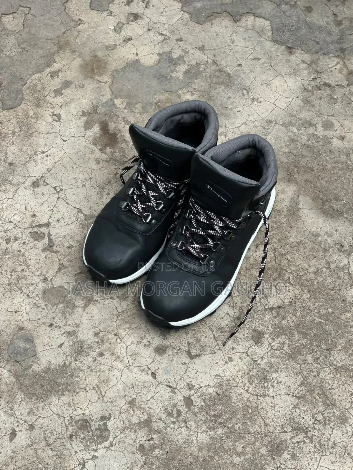 Champion Timberlands