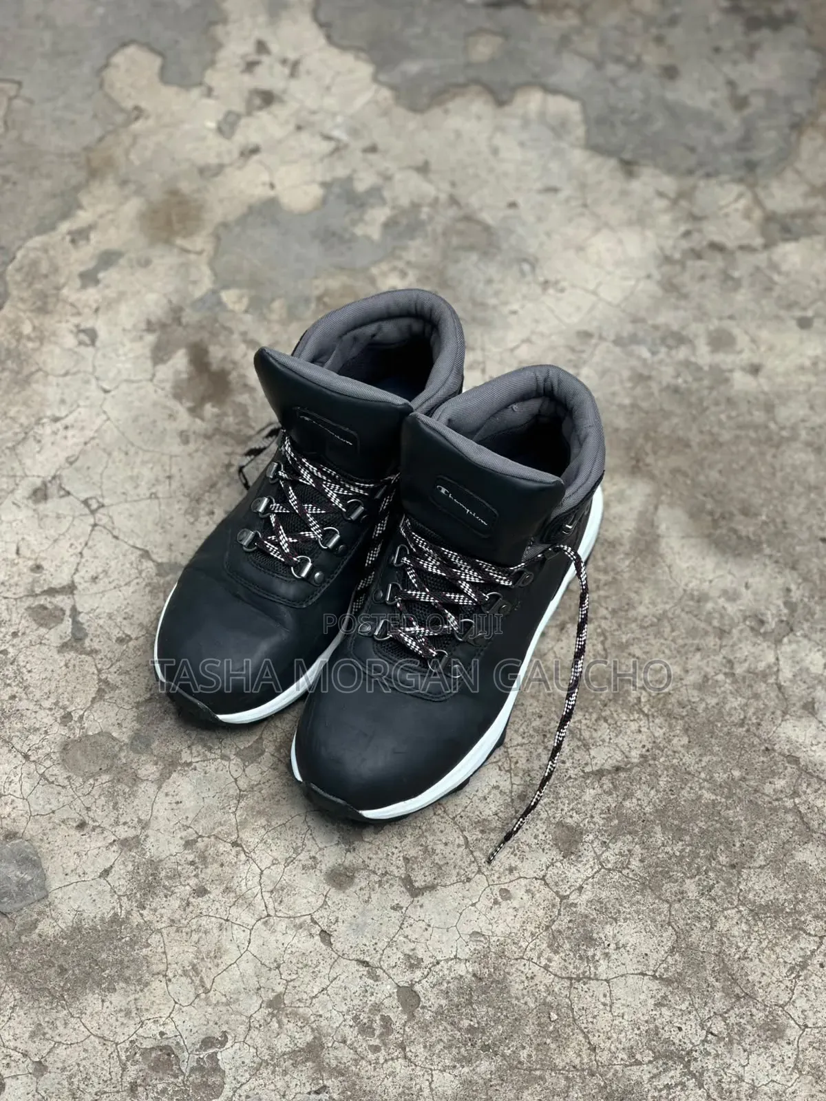 Champion Timberlands