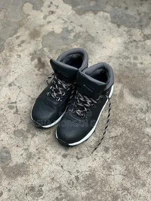 Champion Timberlands