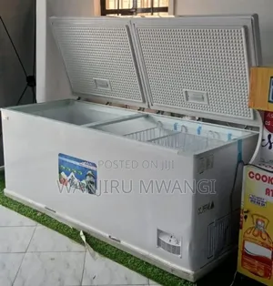 Premier 700litres Double Door Freezer