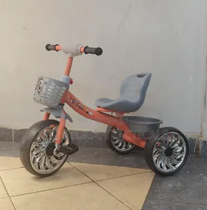 Quality Unisex Kid Tri Cycle*