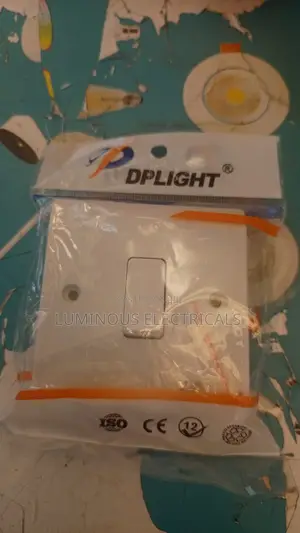 DPLIGHT 1-Gang 2-Way Wall Light Switch - Classic White Finish