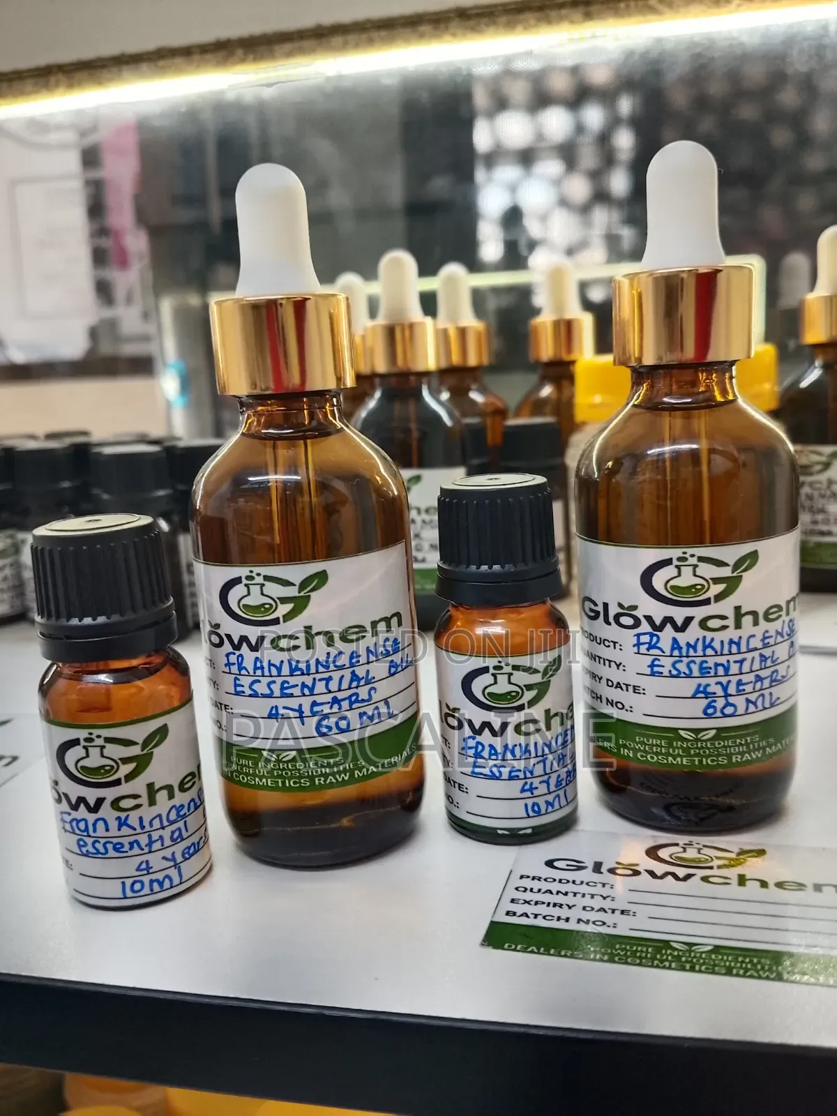 Frankisence Essential Oil