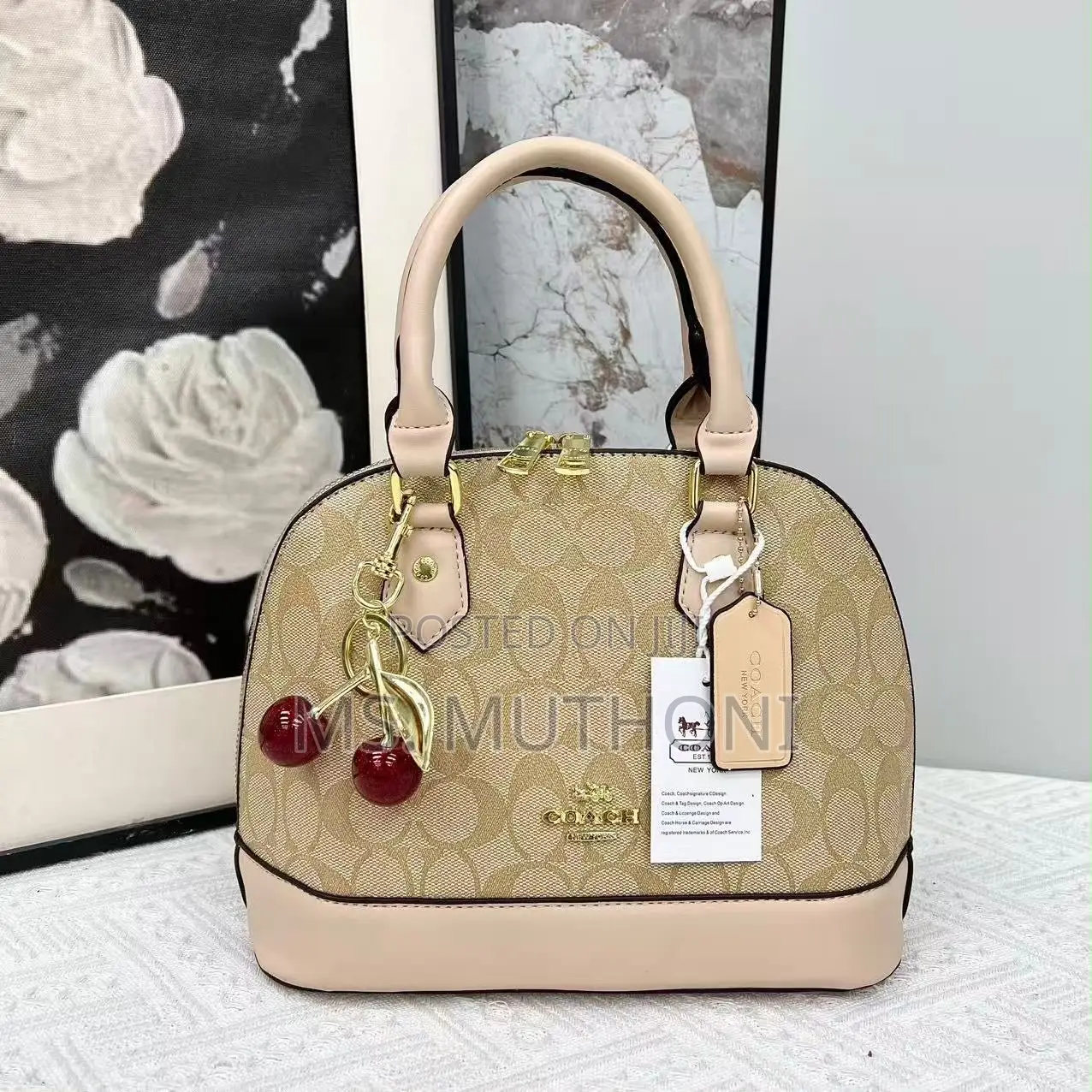 NEW IN ! Coach Sierra Satchel