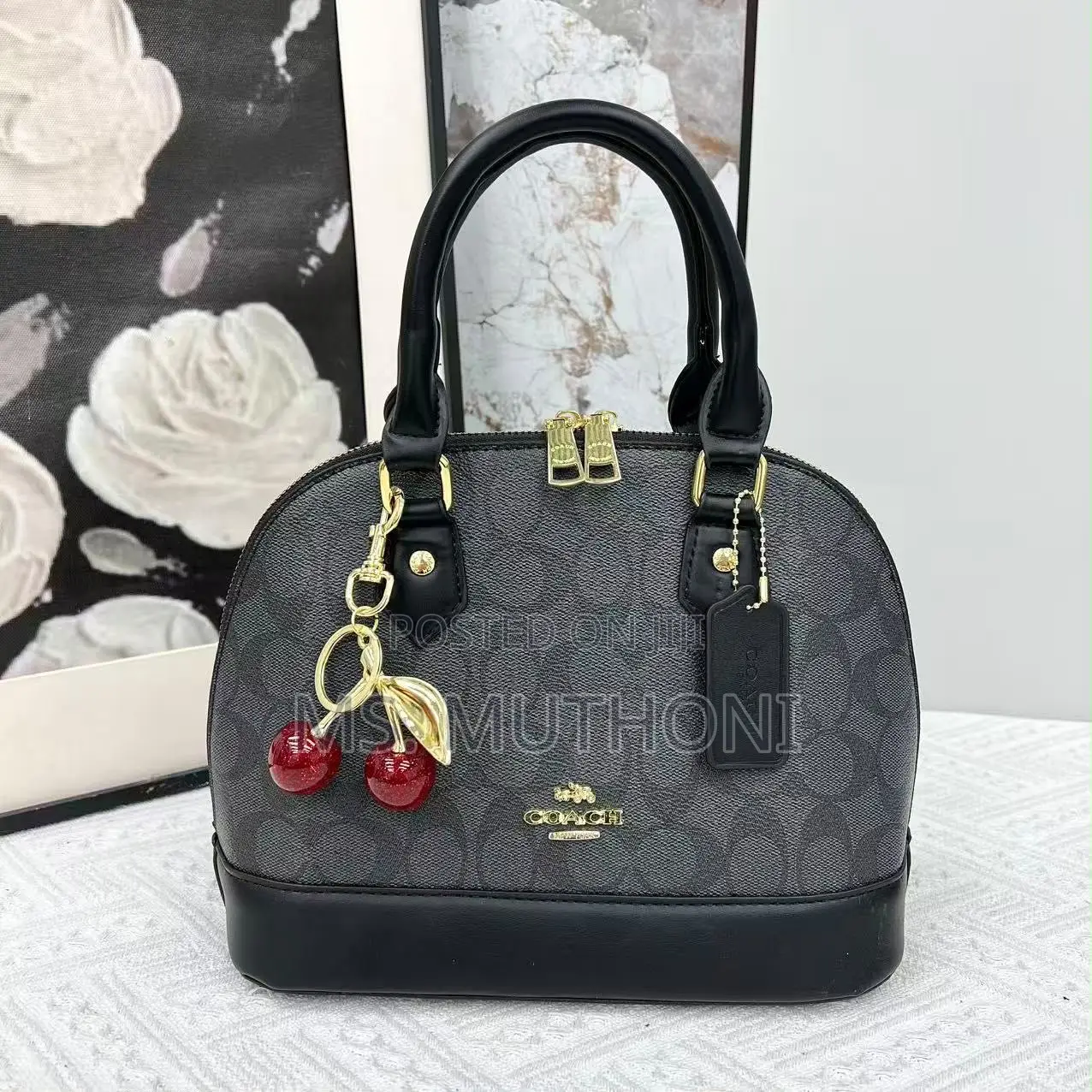 NEW IN ! Coach Sierra Satchel