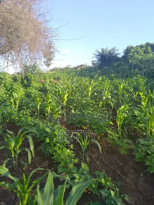 I Ha Land for Sale in Muranga