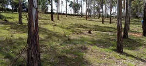 17acre Quarry 4sale at Mawingu Olkalao Near Tarmac