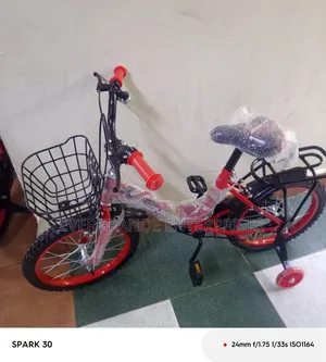 Bike Size 16